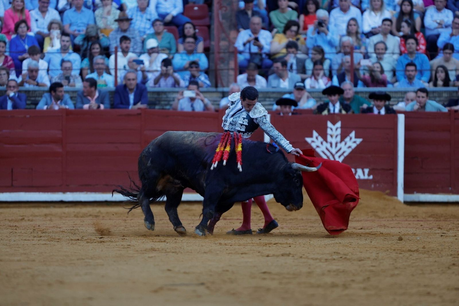 Las mejores fotos de la corrida de Morante, Ortega y Roca Rey en la Feria Taurina de Córdoba