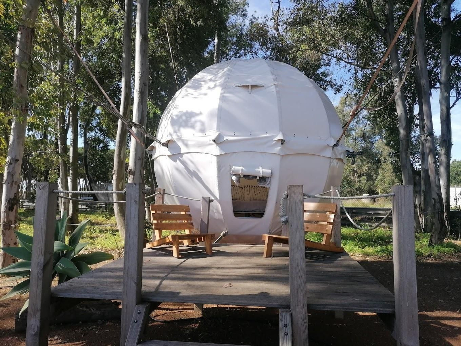 Duerme con los pájaros en tu propio árbol en este campin de Huelva
