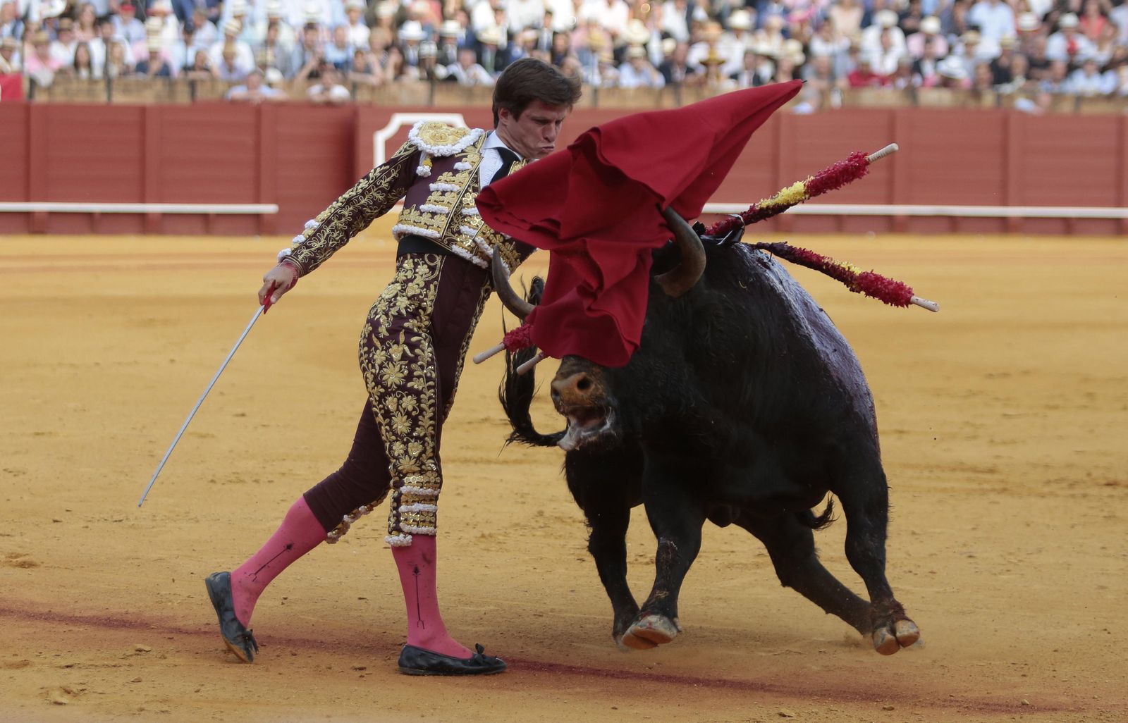 Las imágenes de la undécima de abono de la Maestranza