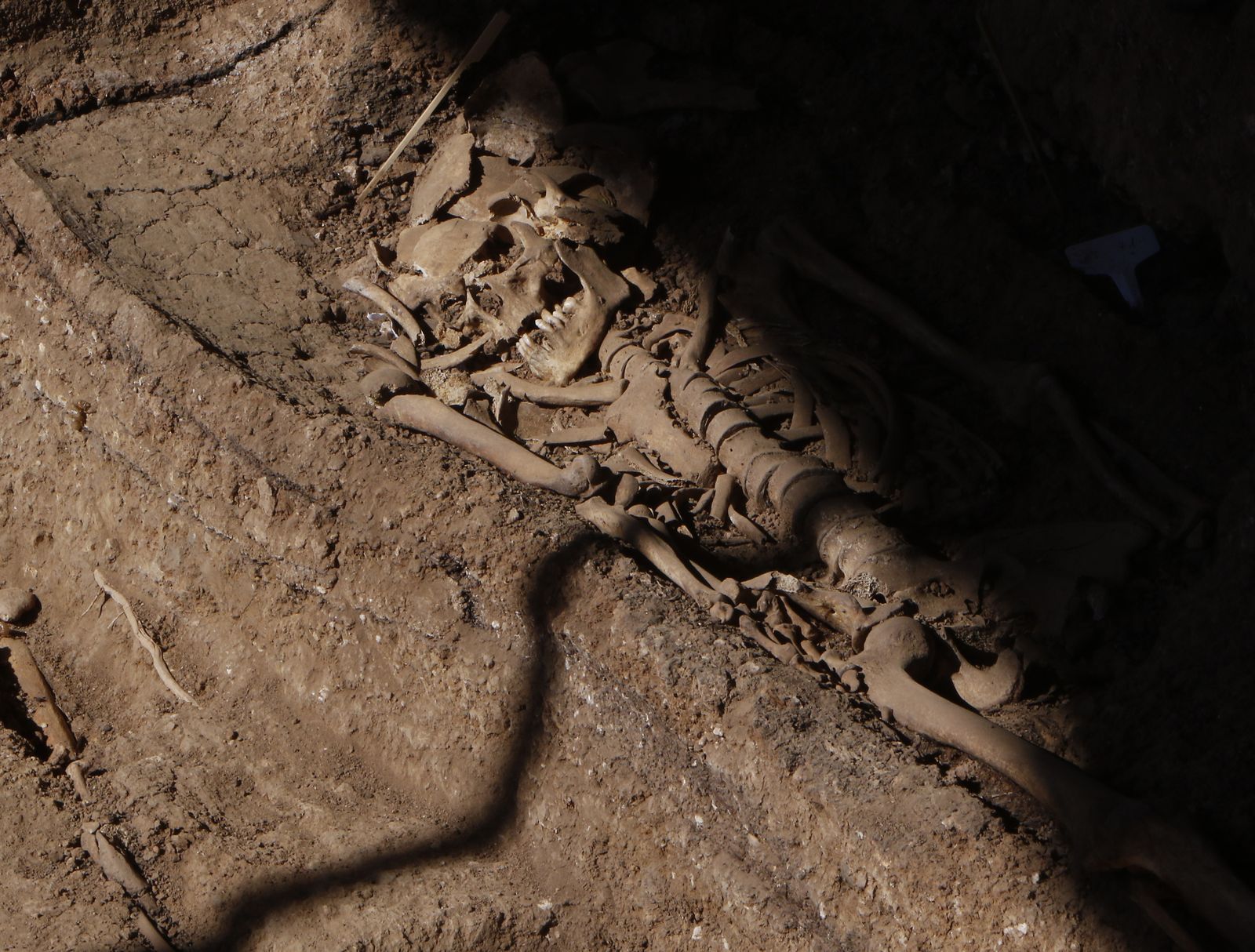 Visita a la fosa de Pico Reja