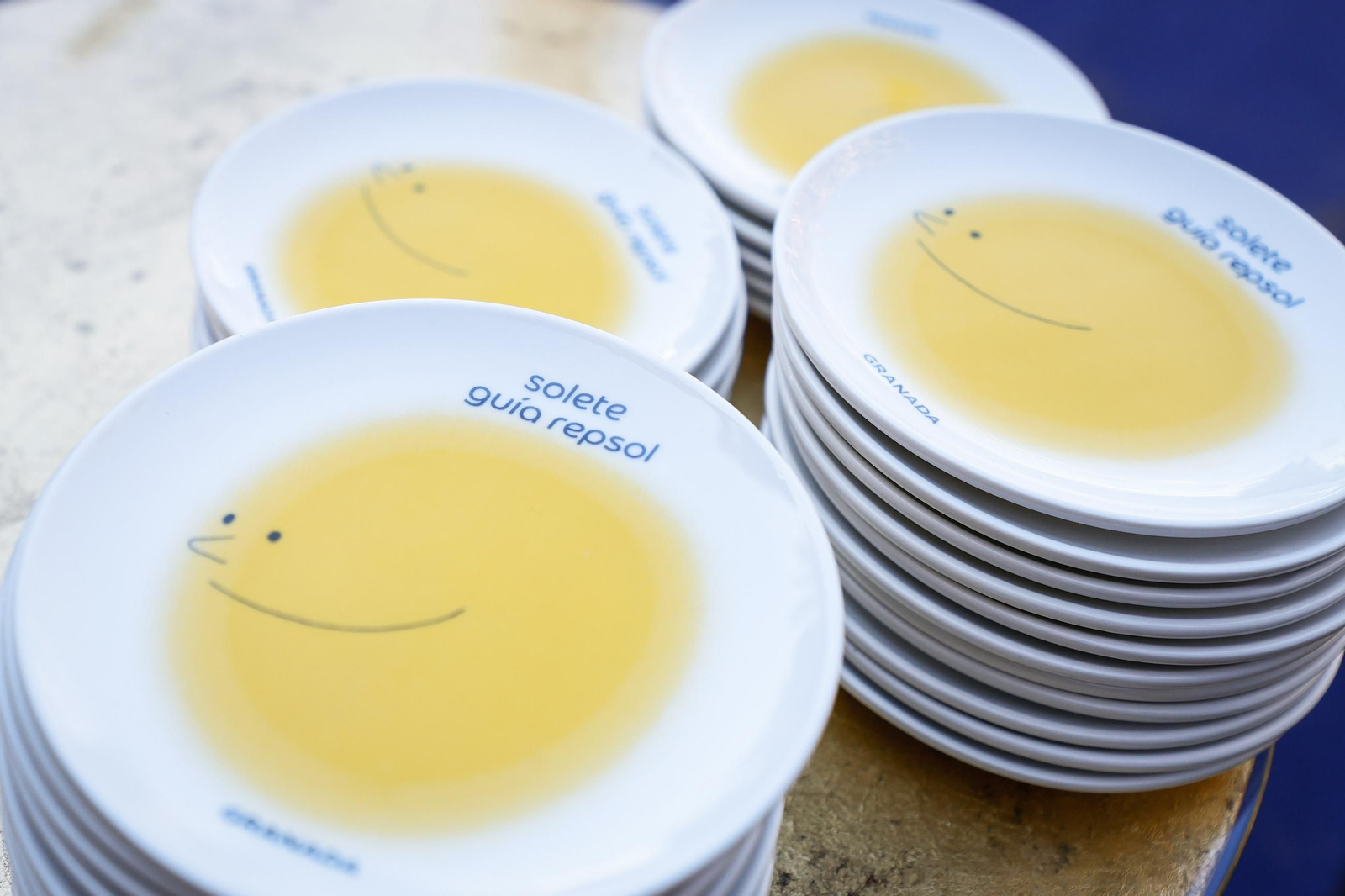 Todas las imágenes de la gala de entrega de los Soletes de invierno en Granada