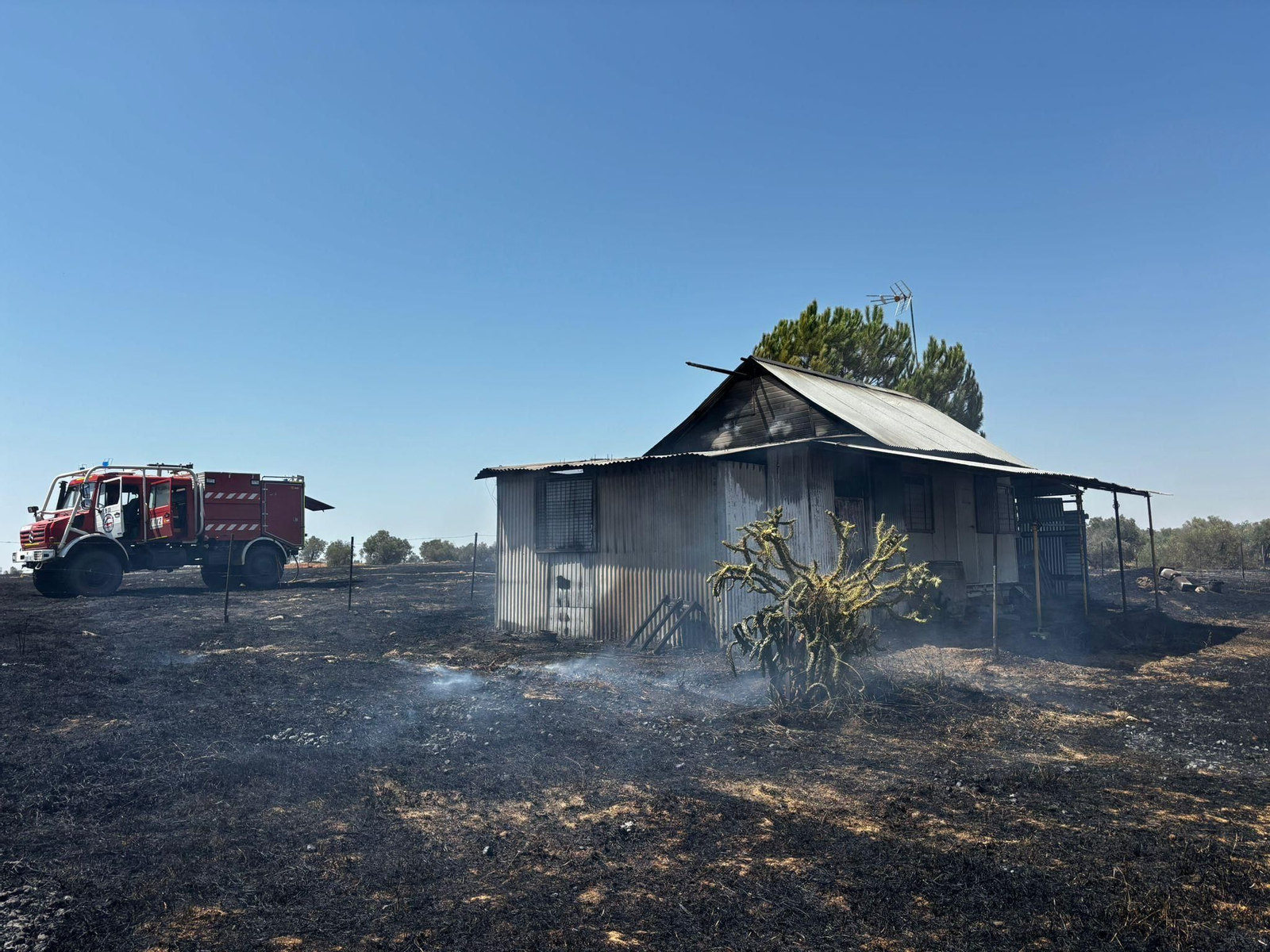 Estructura afectada por el incendio de la finca de Almonte.