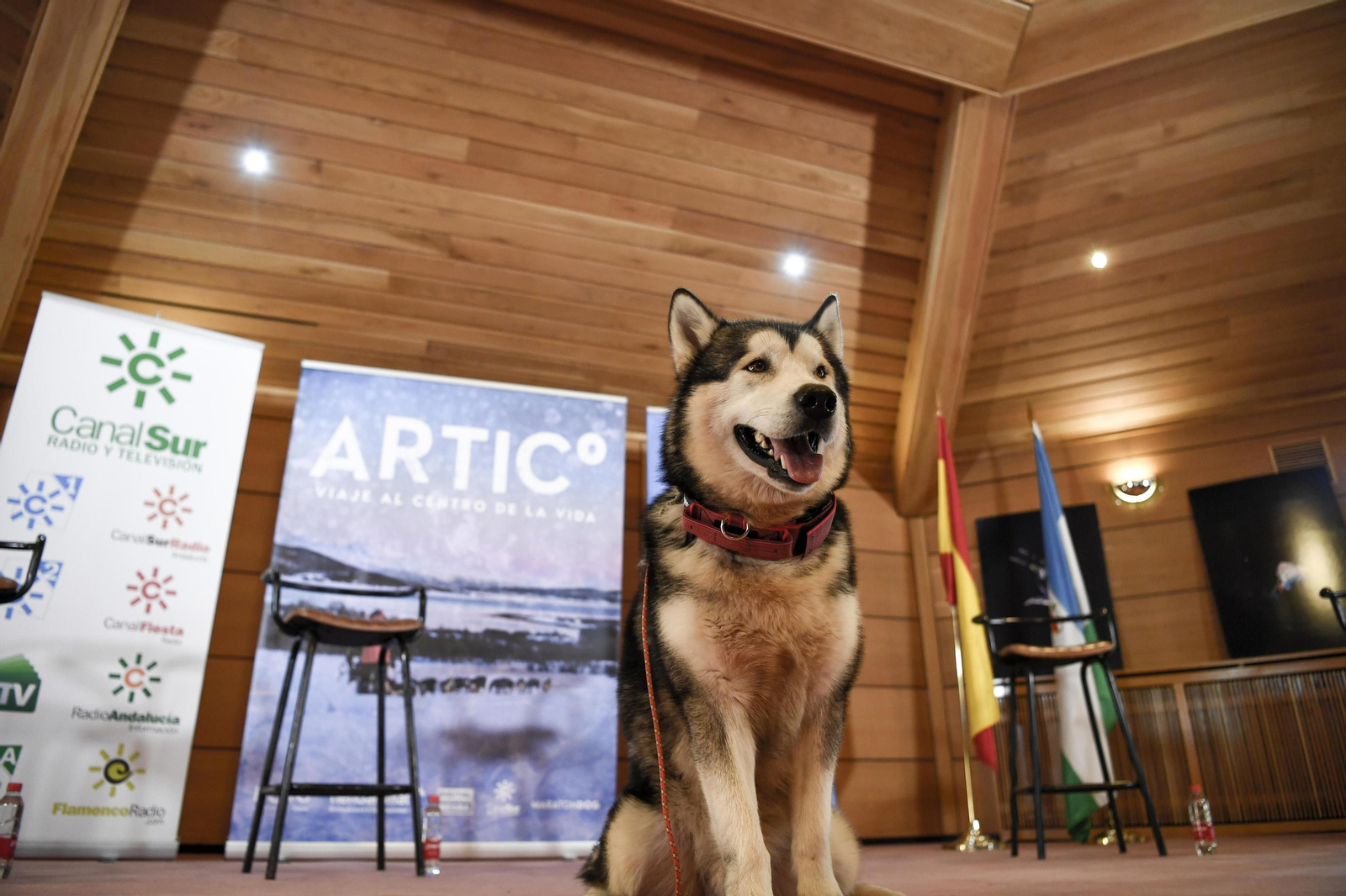 Fotos de 'Desafío Ártico' en Granada, Desafío Ártico', docuserie sobre una expedición al Polo Norte