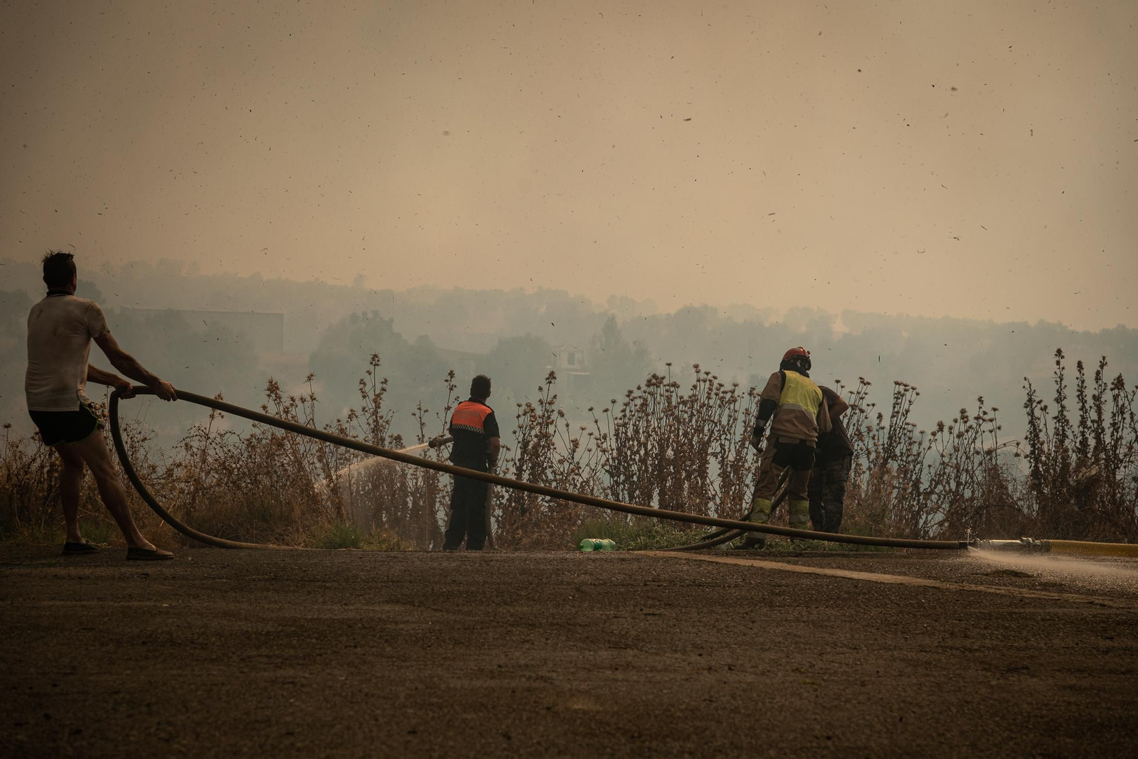 El incendio de Lucena del Puerto en imágenes