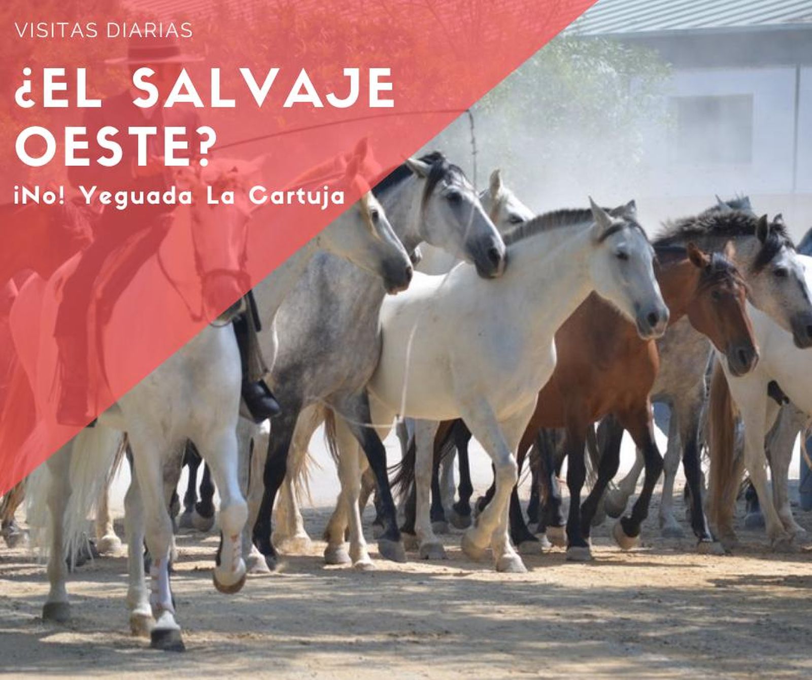 El Clúster lanza una campaña de promoción para promover entre los jerezanos el turismo en la ciudad