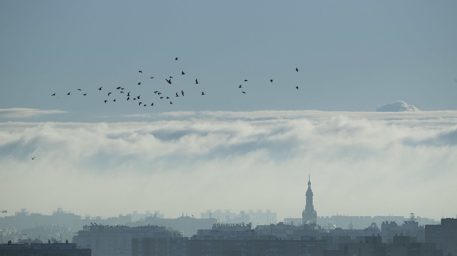 La niebla cubre Sevilla