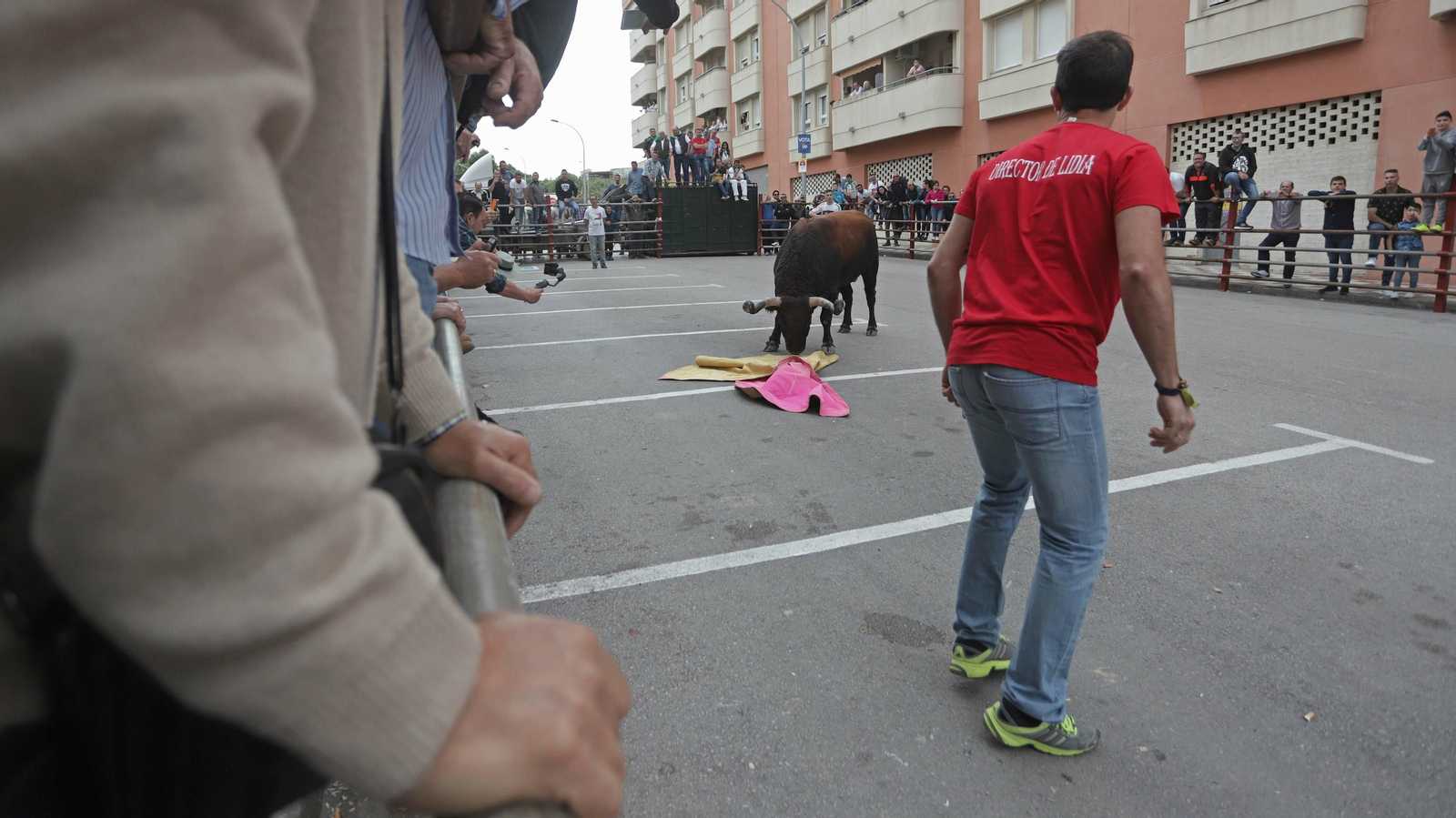Imágenes del Toro Embolao de Los Barrios