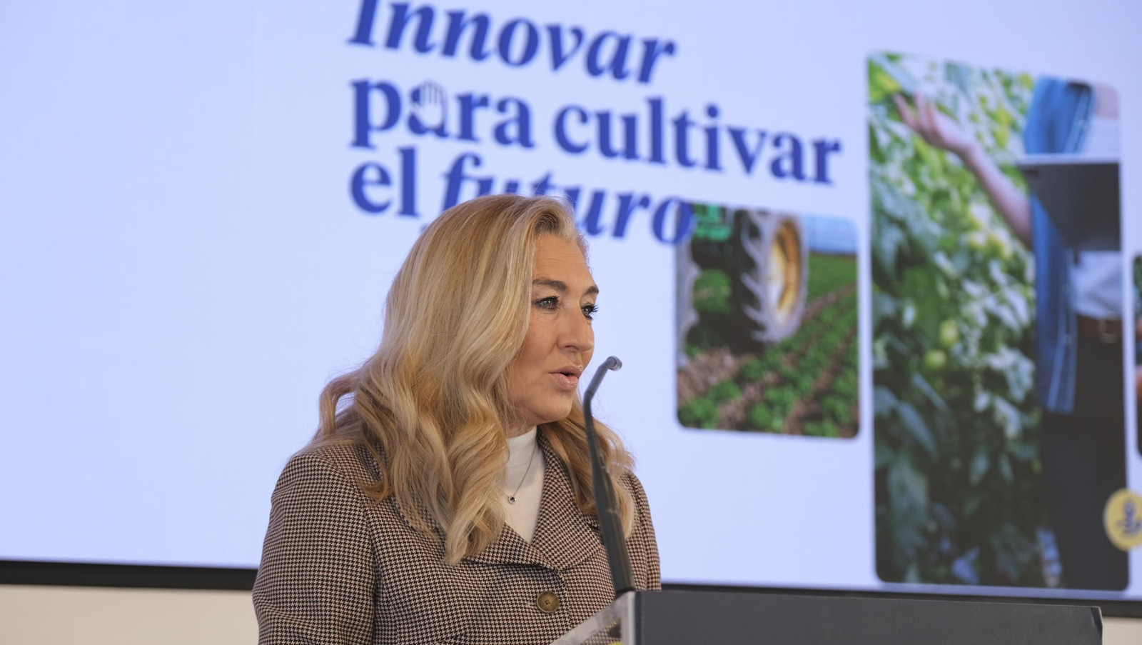 Imágenes de la Jornada BBVA-Grupo Joly 'Revolución Agrotech en el Campo', en Almería