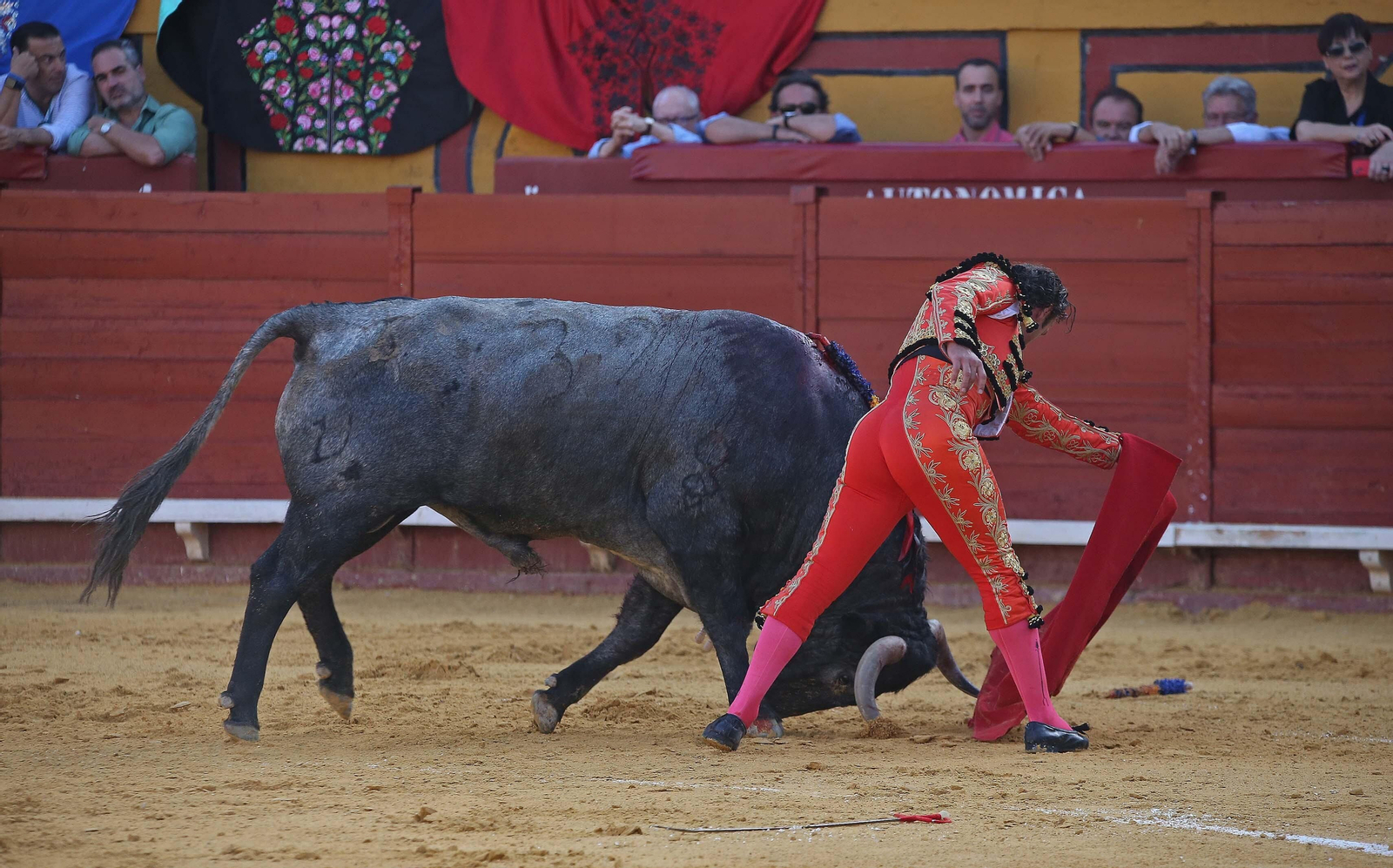 Fotos de la corrida del sábado de la Feria Taurina de Algeciras 2023: Antonio Ferrera, Manuel Escribano y Miguel Ángel Pacheco