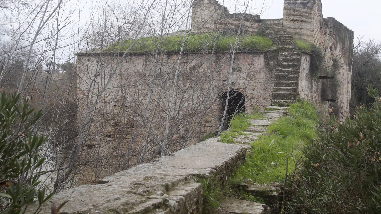 Molino de San Rafael cubierto por la maleza.