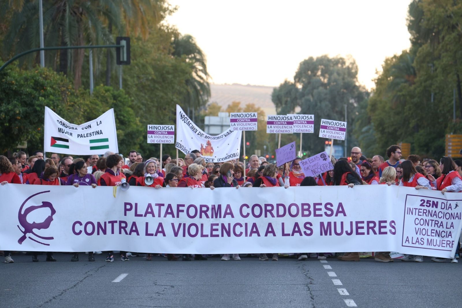 La Plataforma contra la Violencia a las Mujeres en manifestación del 25N en Córdoba.