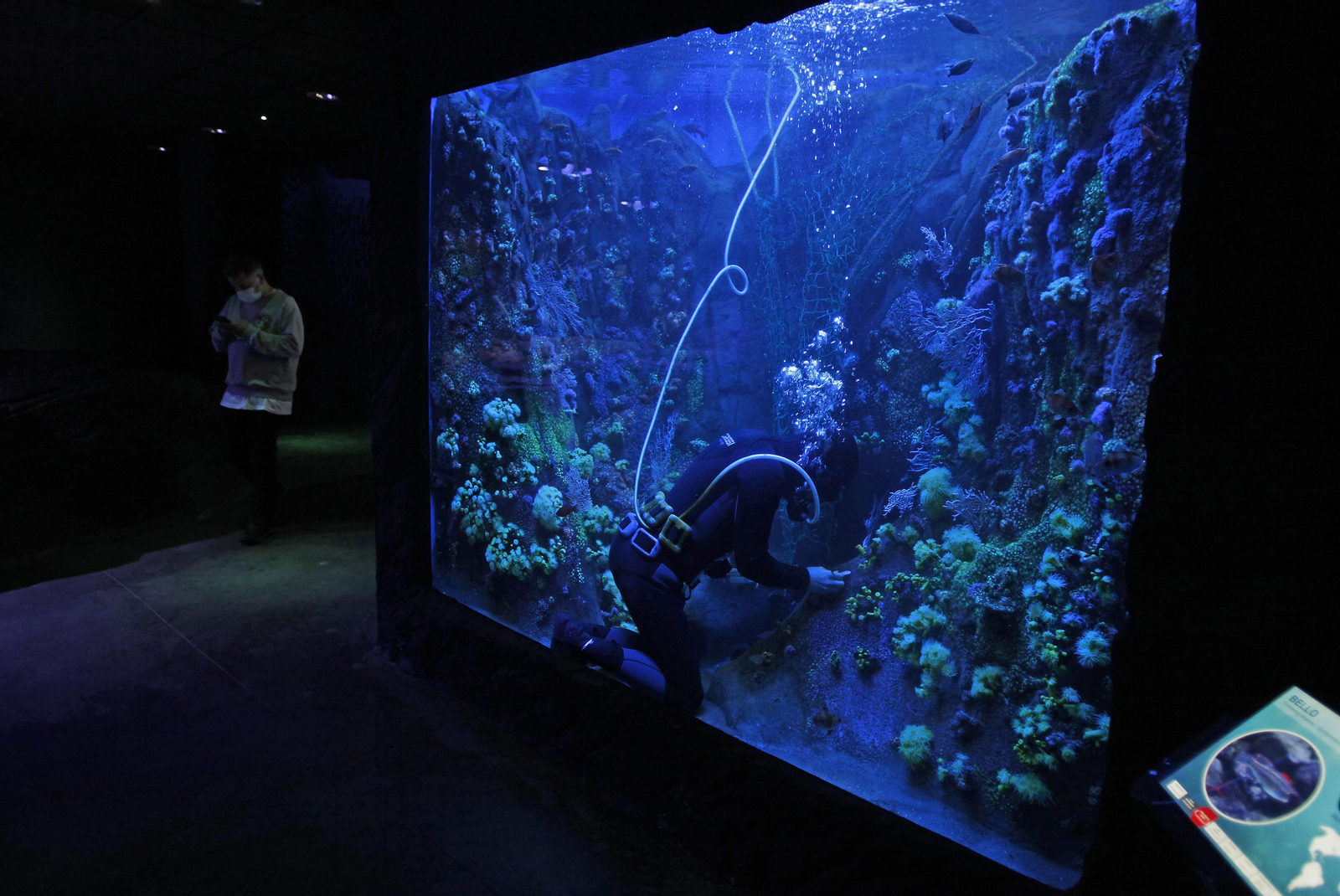 Semana de la Educación Ambiental en el Acuario de Sevilla