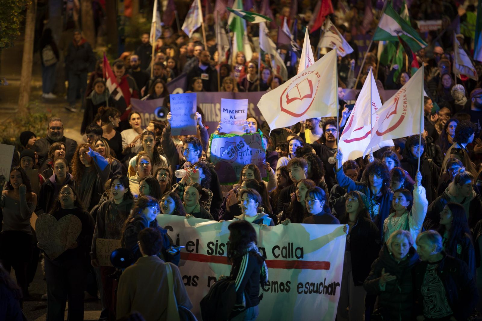 Todas las imágenes de la movilización de Granada contra la violencia machista este 25N