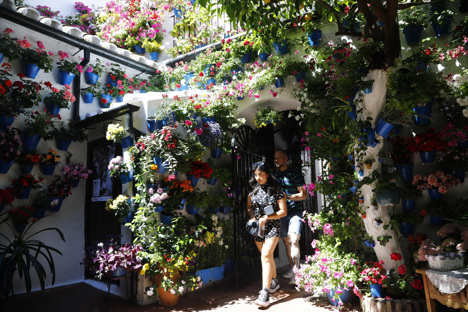 Los Patios de Córdoba se preparan para el fin de semana, en imágenes