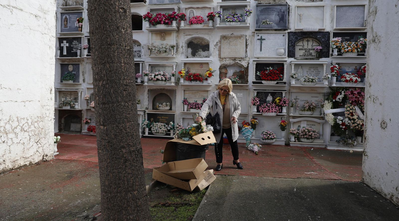 Fotos del Día de Todos Los Santos en el cementerio de La Línea