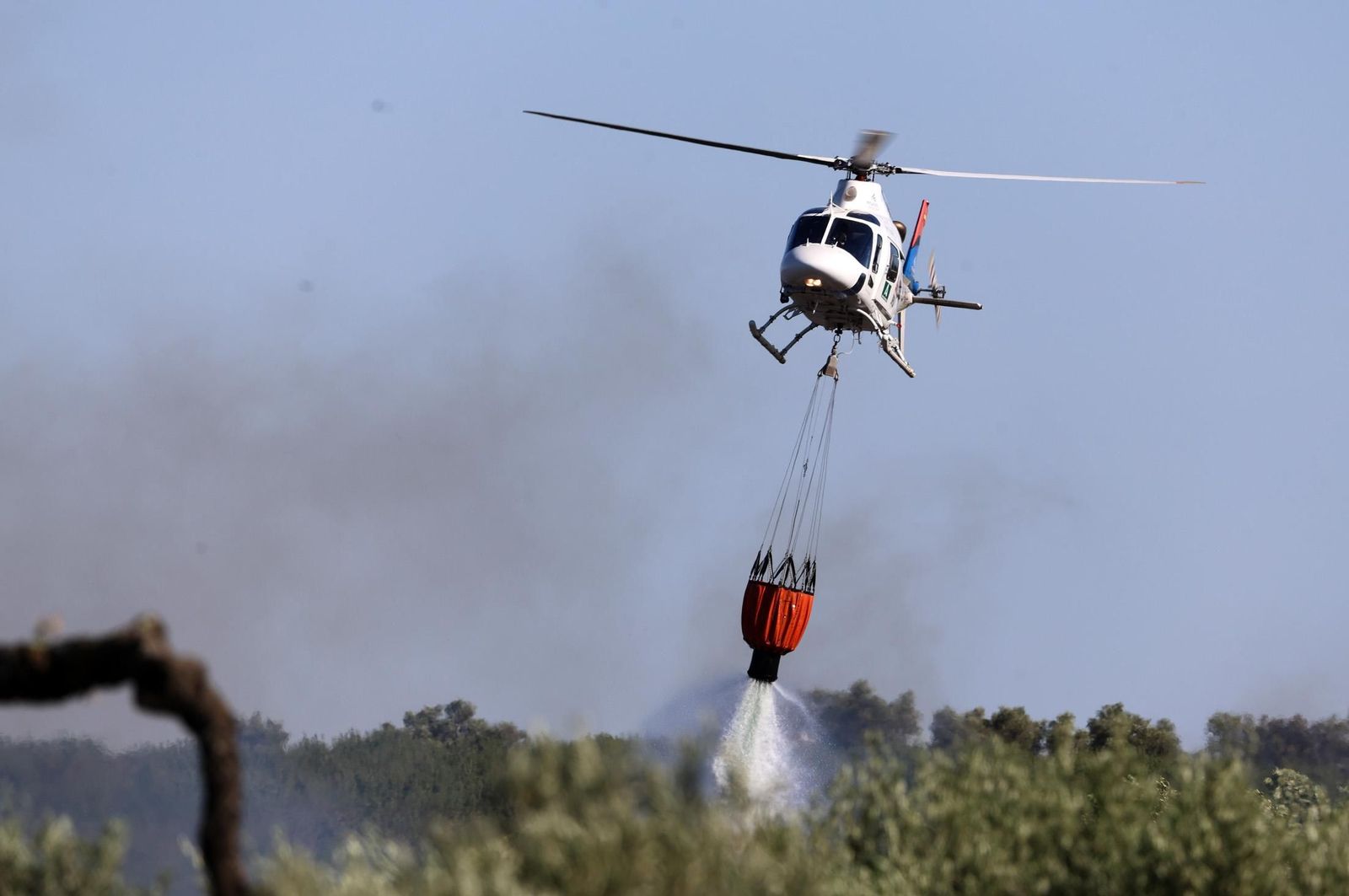 Imágenes del incendio en el Paraje del Arroyo de la Madreselva, en Bollullos par del Condado
