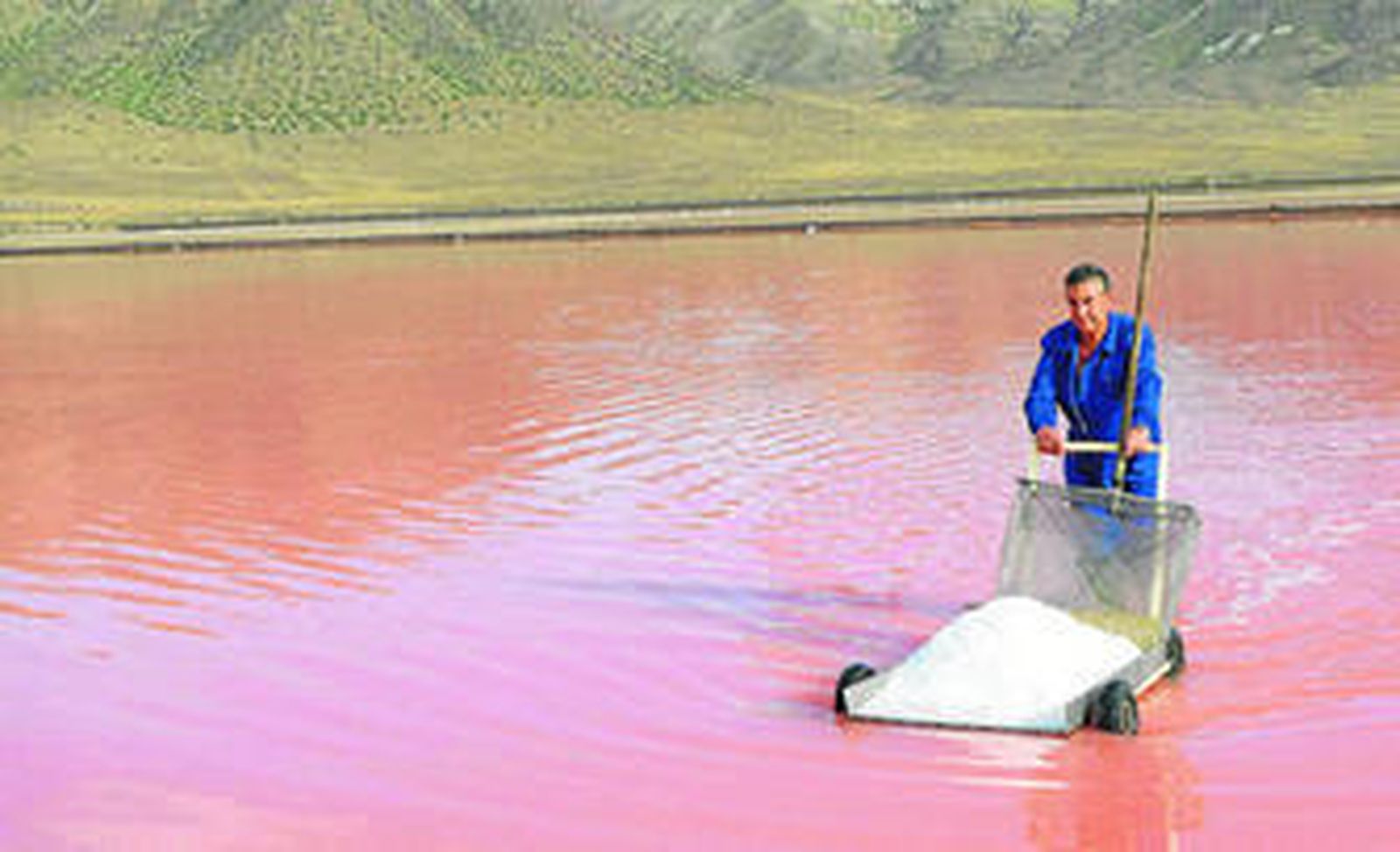 Un operario de la salina del Parque Natural de Cabo de Gata-Níjar recoge el 'telo' cristalizado con el rocío de la mañana.
