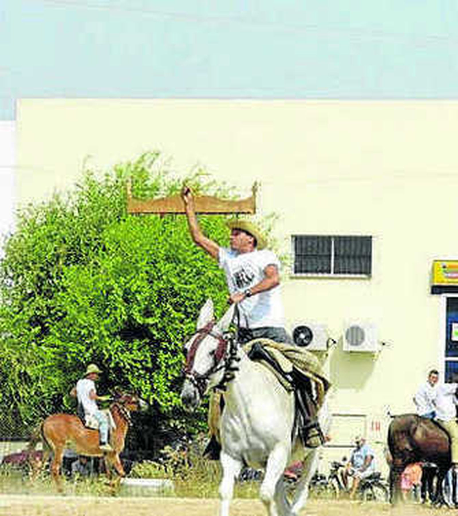 Carreras de mulos en Los Palacios