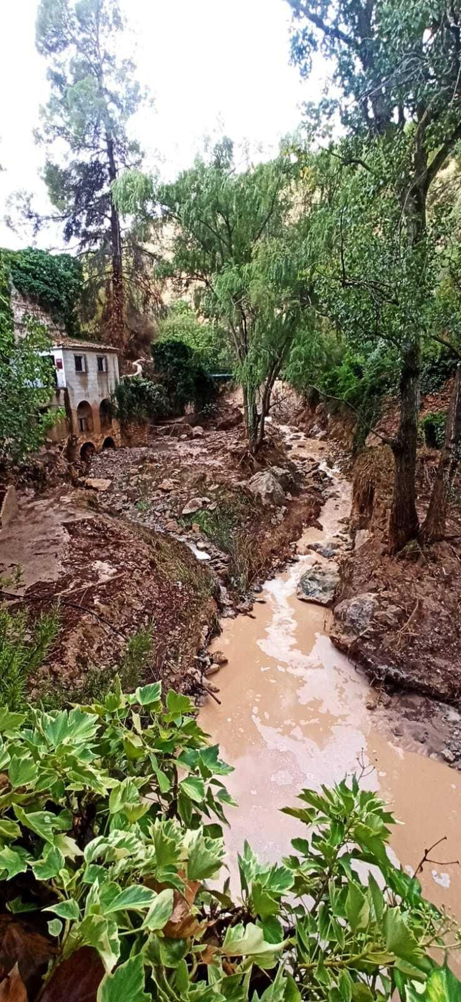 Los daños provocados por la tormenta en Almedinilla, en imágenes