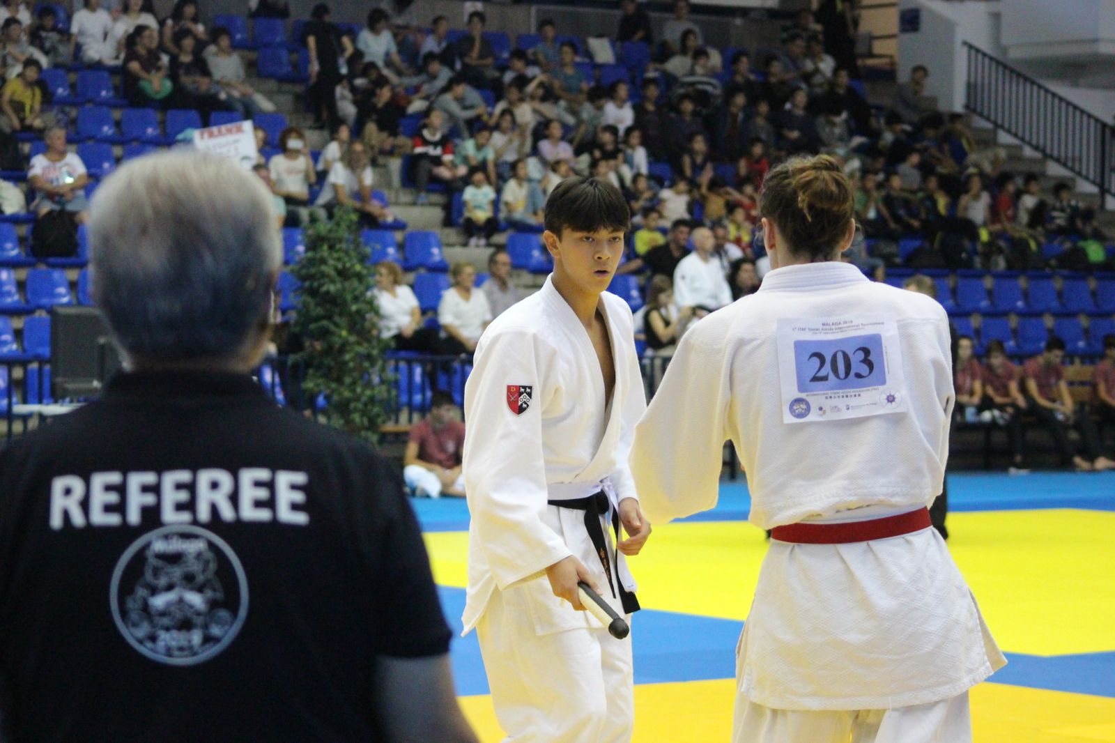 Las imágenes del Mundial de Aikido de Málaga