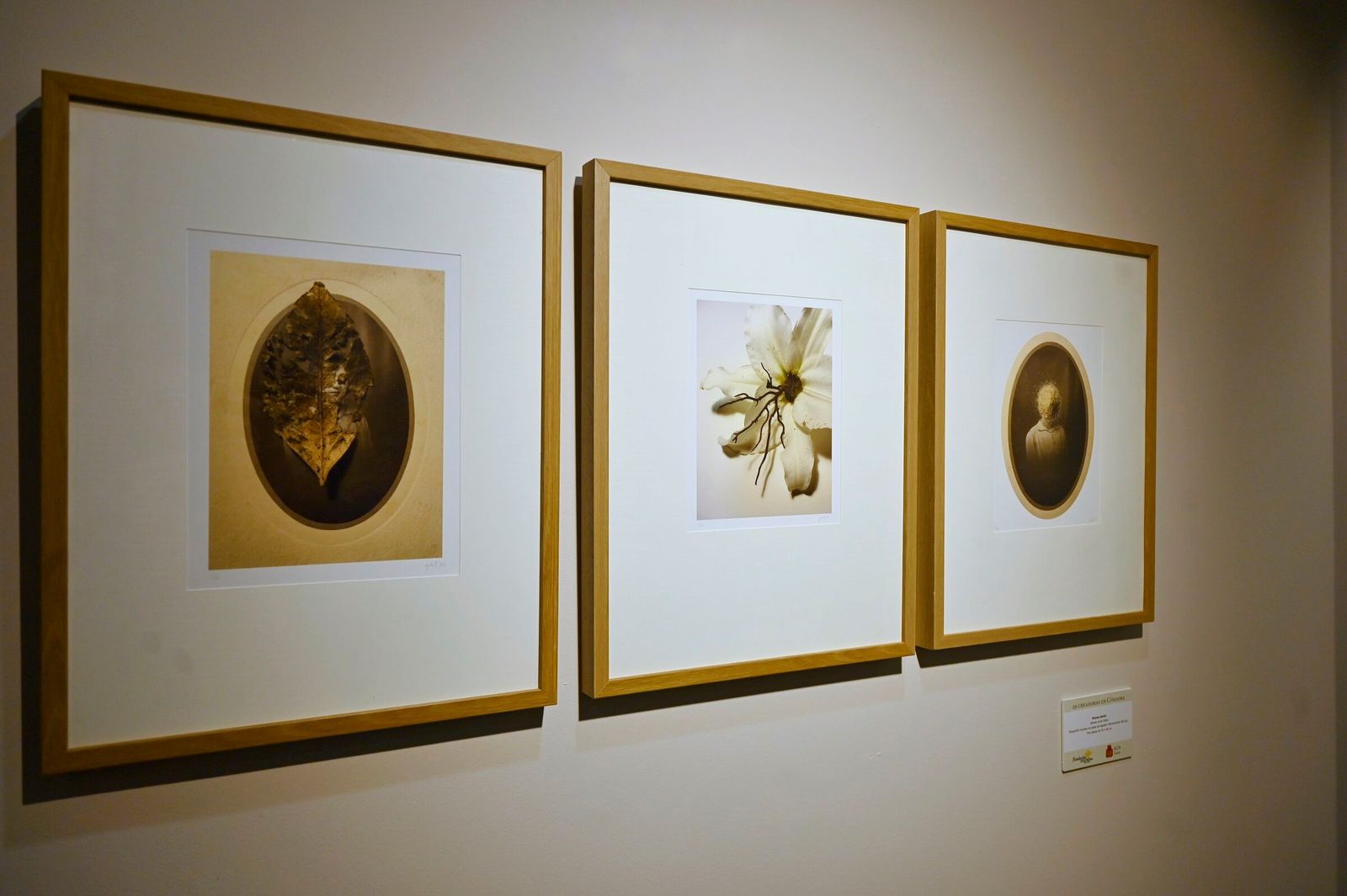 La inauguración de la exposición '29 creadoras en Córdoba', en imágenes