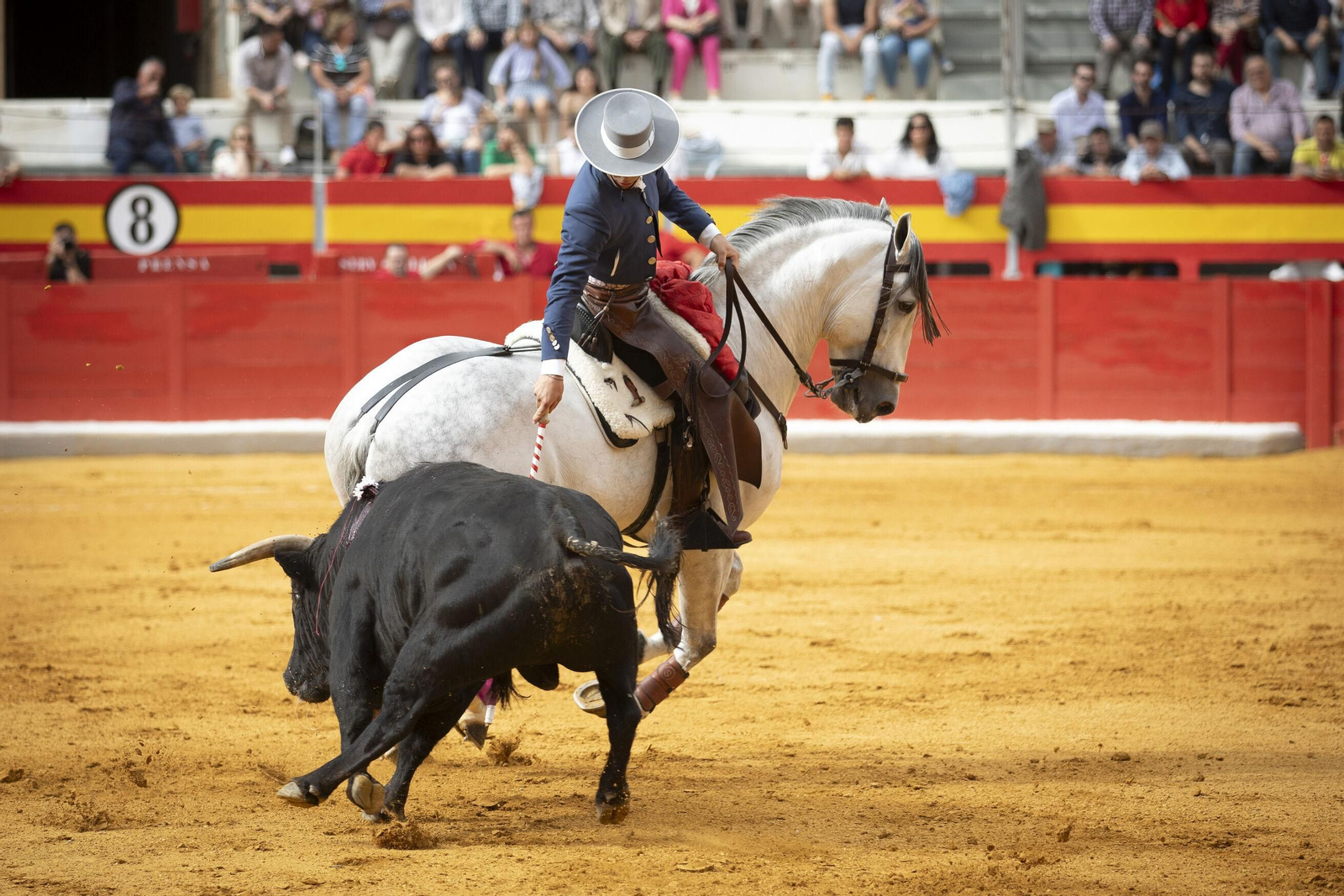 El Festival Taurino a beneficio de Granadown, en imágenes