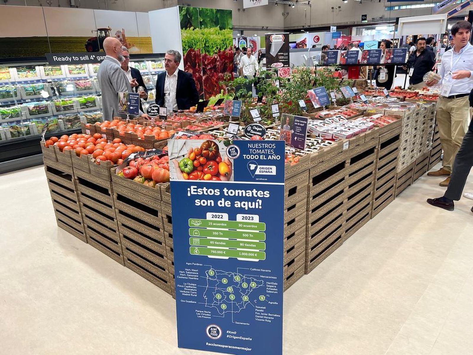 Stands de tomates en Carrefour.