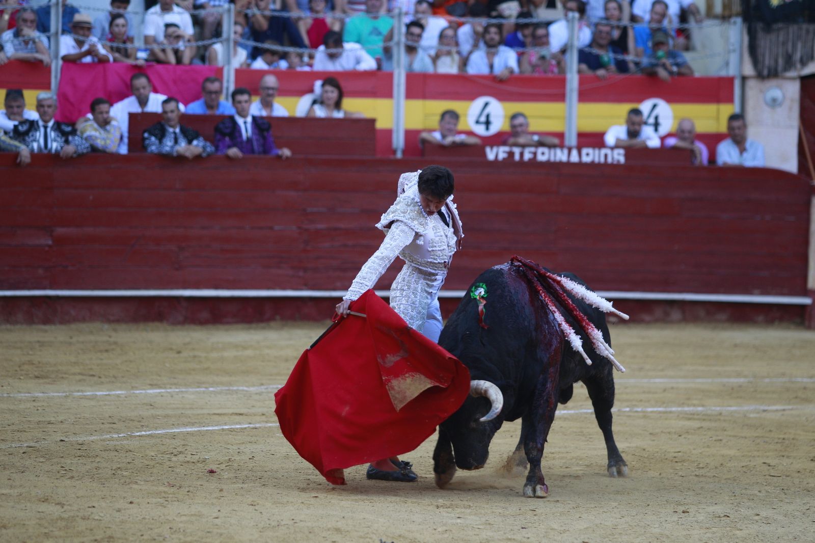 Imágenes del triunfo del torero almeriense Jorge Martínez el día de su alternativa