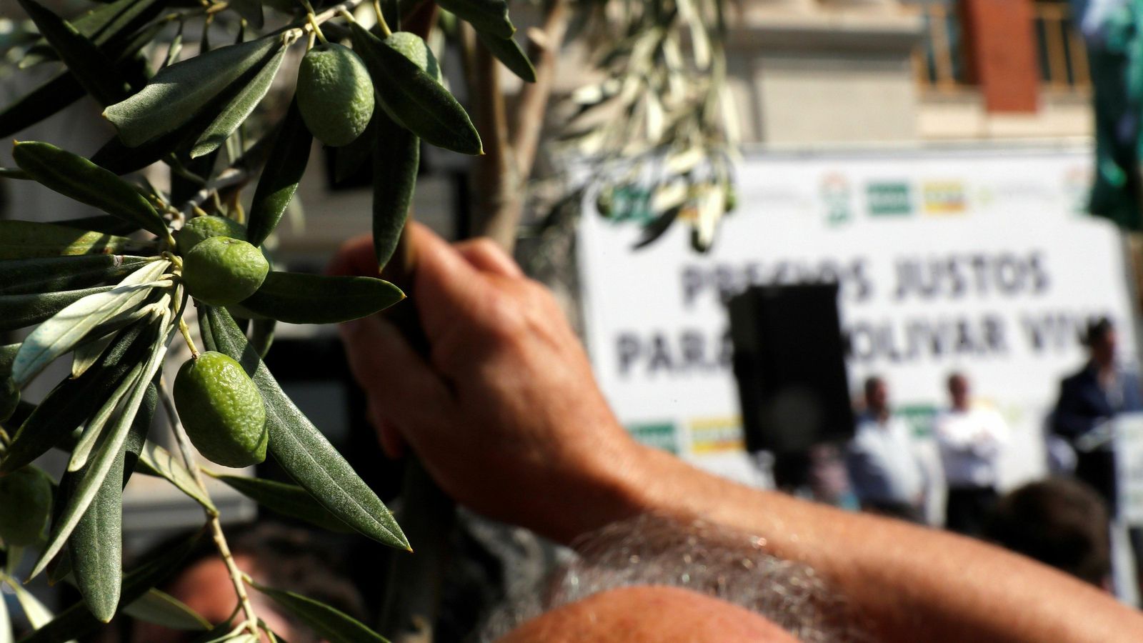 Detalle de un olivarero con un ramo en la mano