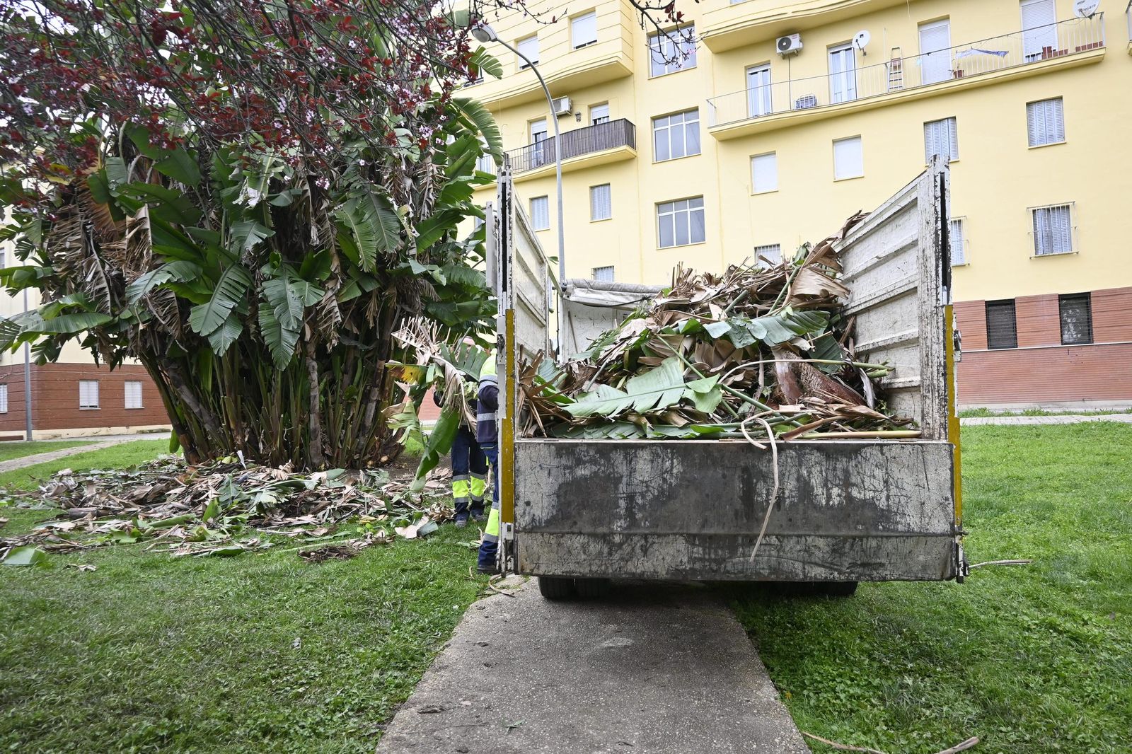 Imágenes de ambiente del miercoles 12 de marzo en Huelva