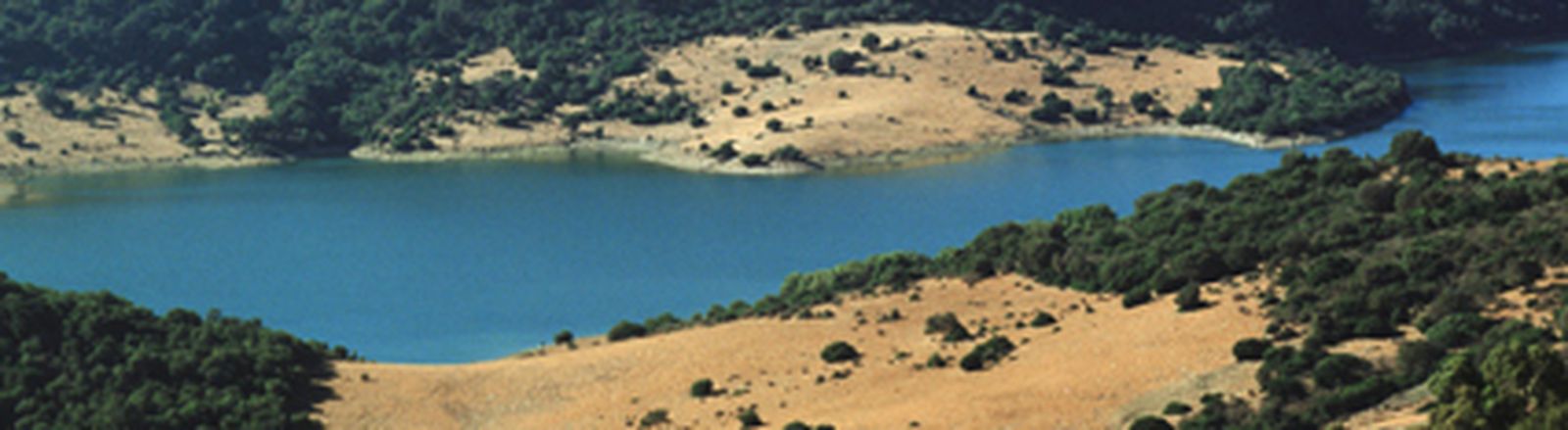 El Parlamento aprueba la Ley de Aguas de la Comunidad Autónoma Andaluza