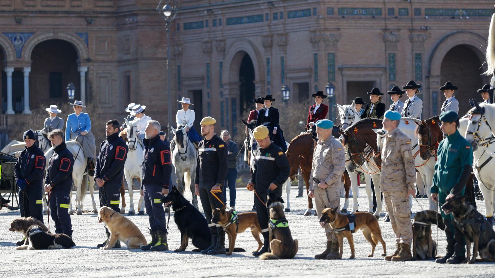 Las imágenes de la celebración del día de San Antón por la Policía Nacional en la plaza de España