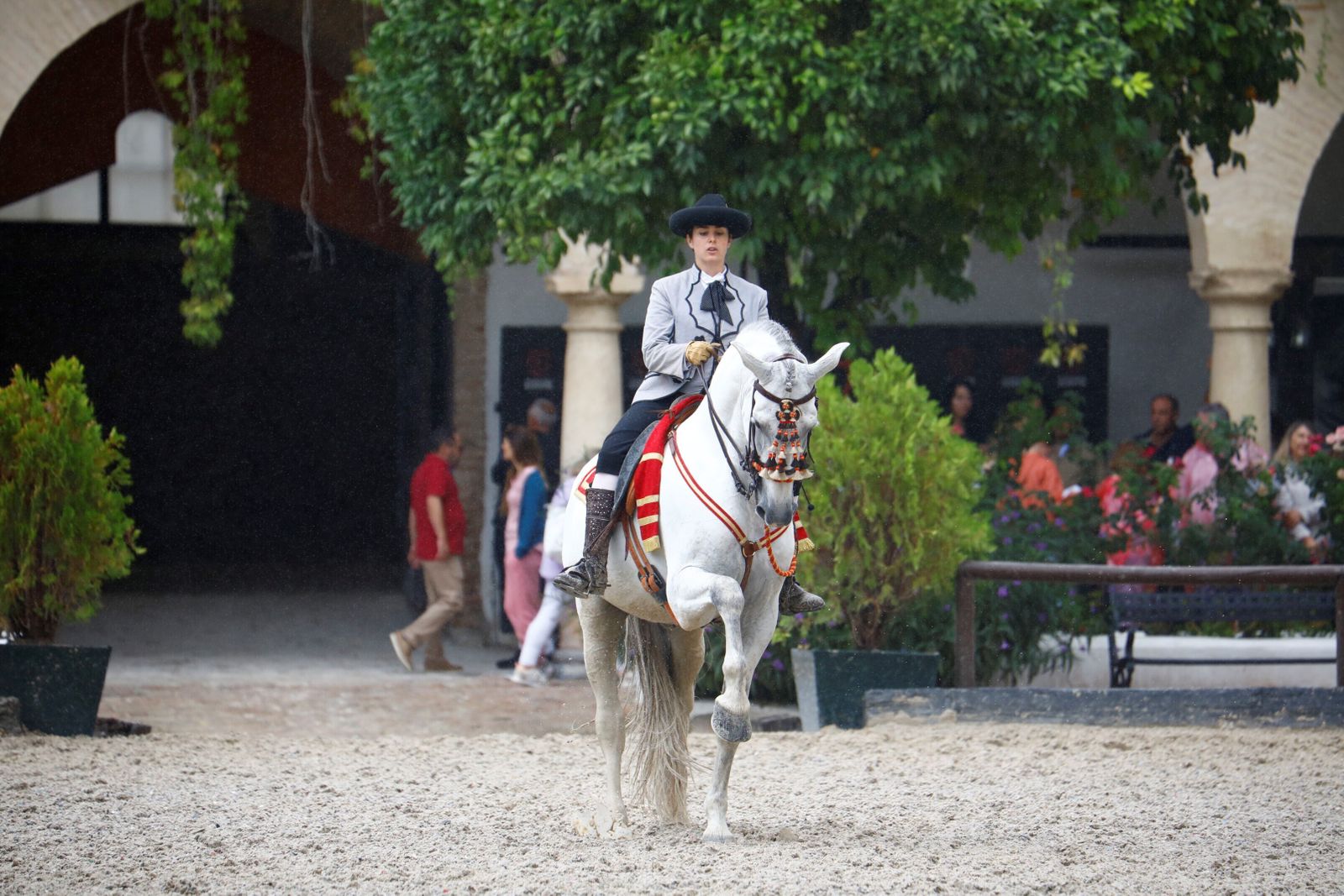 La celebración de la VI Copa de España de Alta Escuela en Córdoba, en imágenes