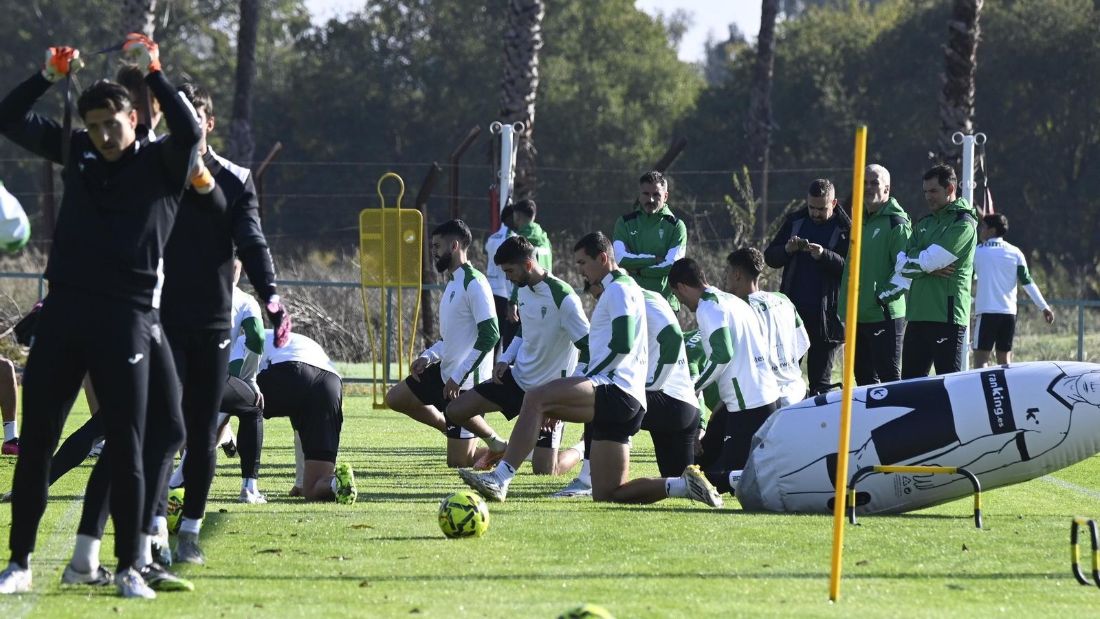 Los jugadores del Córdoba CF estiran antes de un entrenamiento en la Ciudad Deportiva.