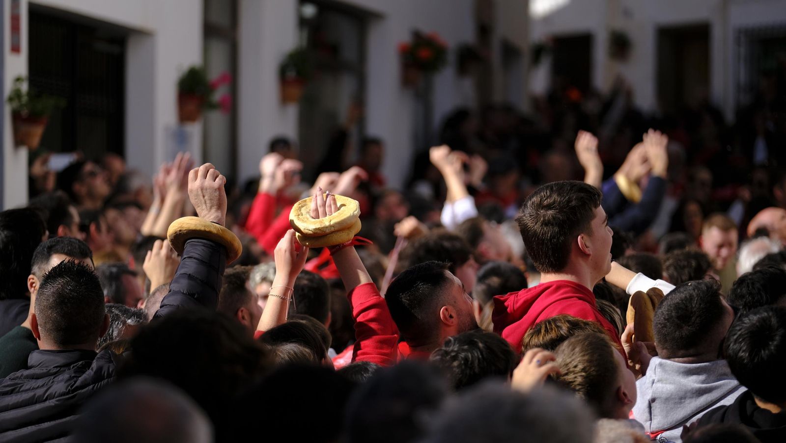 Procesión de San Sebastián y tirada de roscos en Lubrín, en imágenes