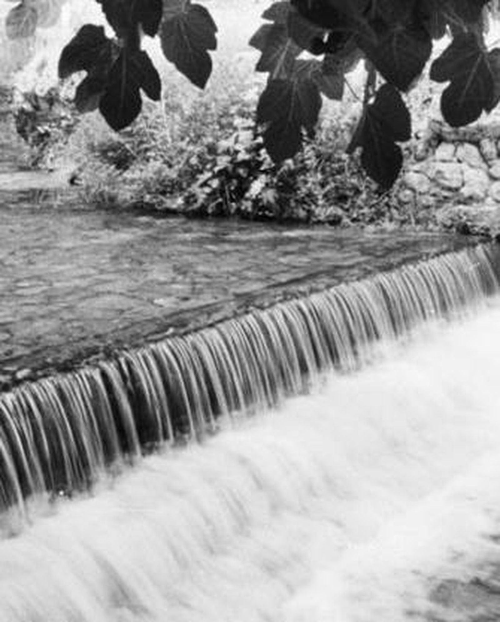 Una imagen del manantial de El Tempul, en San José del Valle.