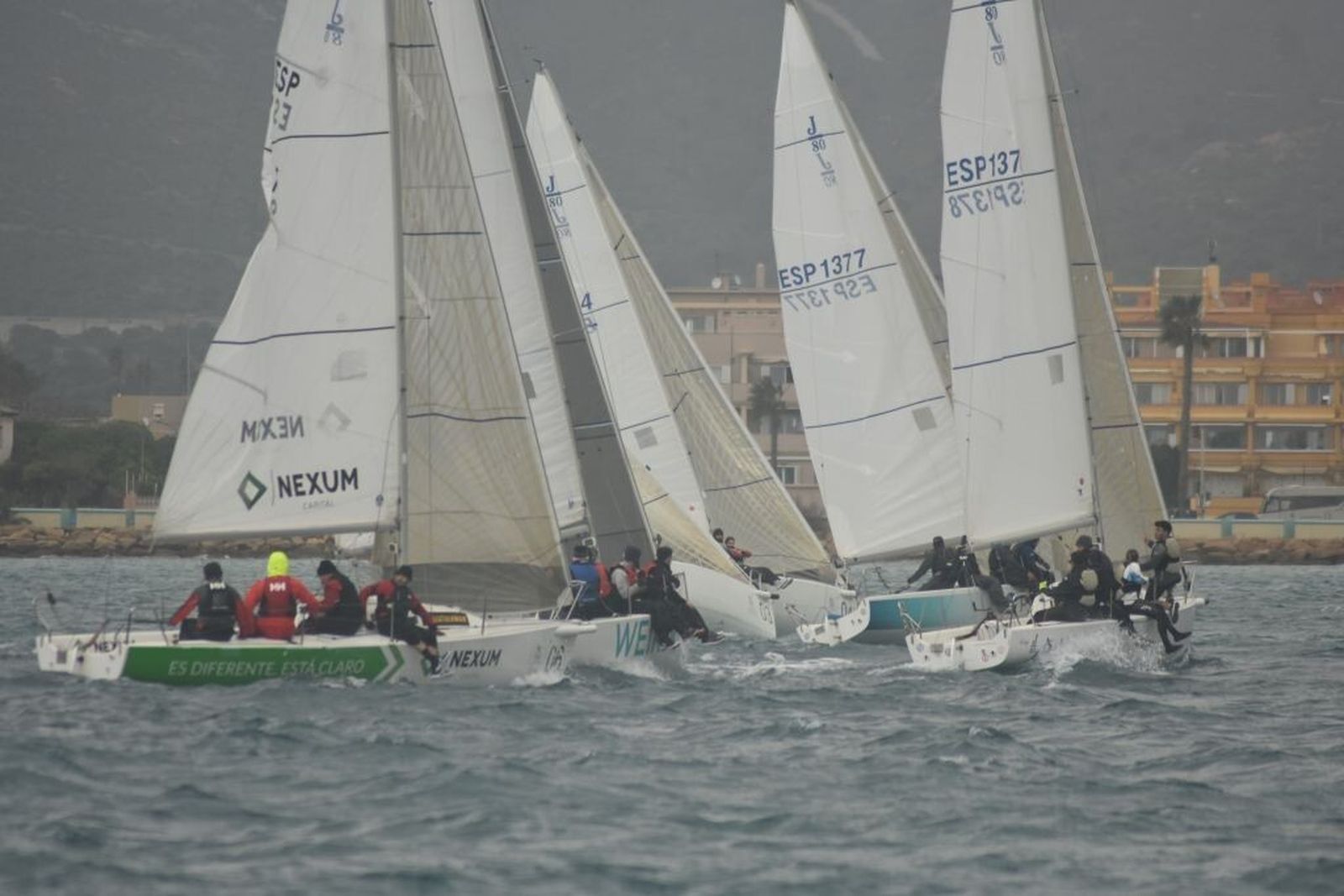 Parte de la flota, durante la regata