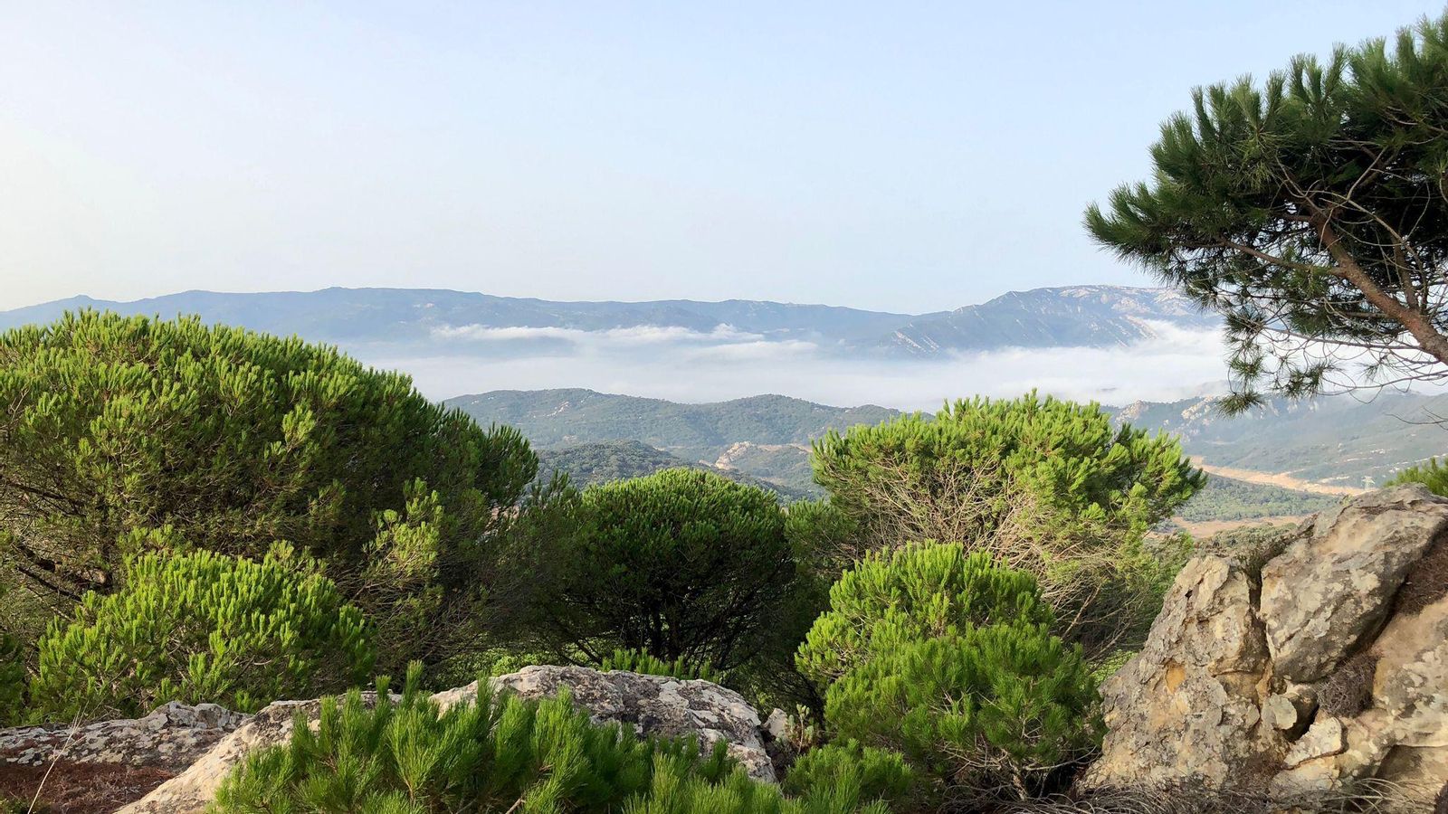 Conocer Los Alcornocales en bicicleta de montaña