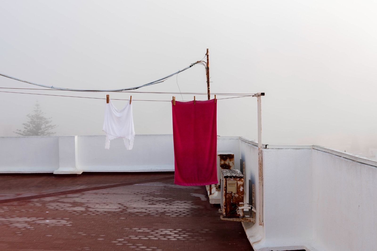 Niebla en los terraos