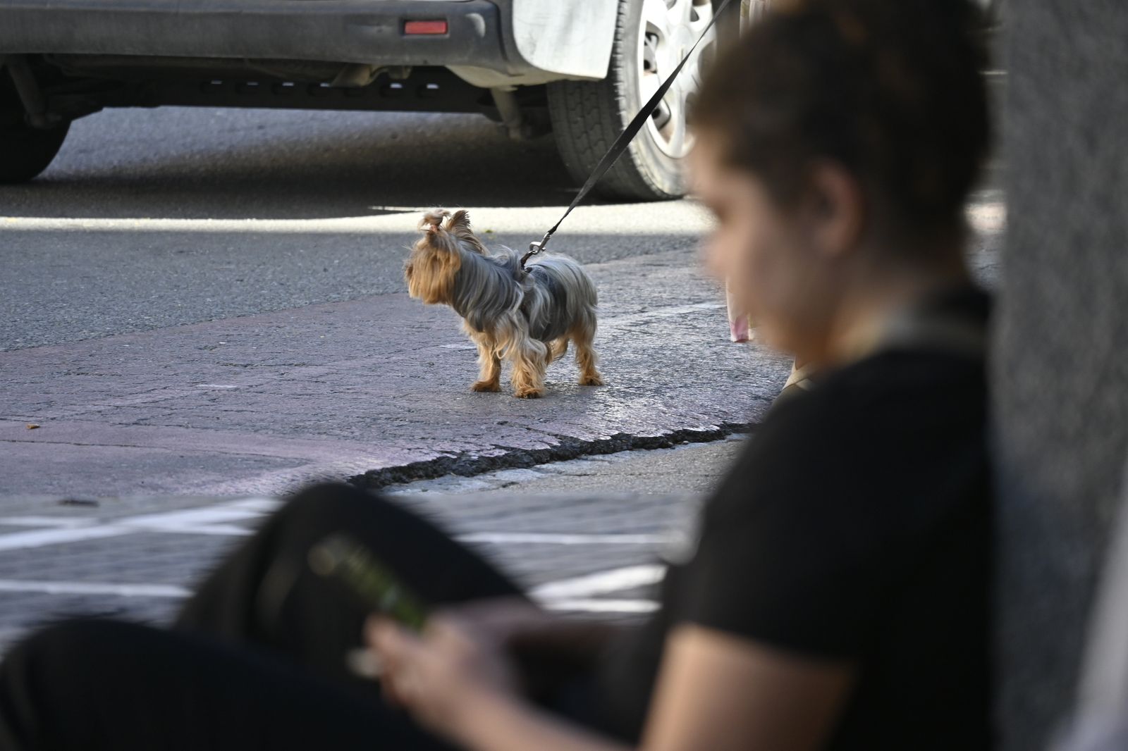Las imágenes más destacadas del martes 19 de septiembre en Huelva