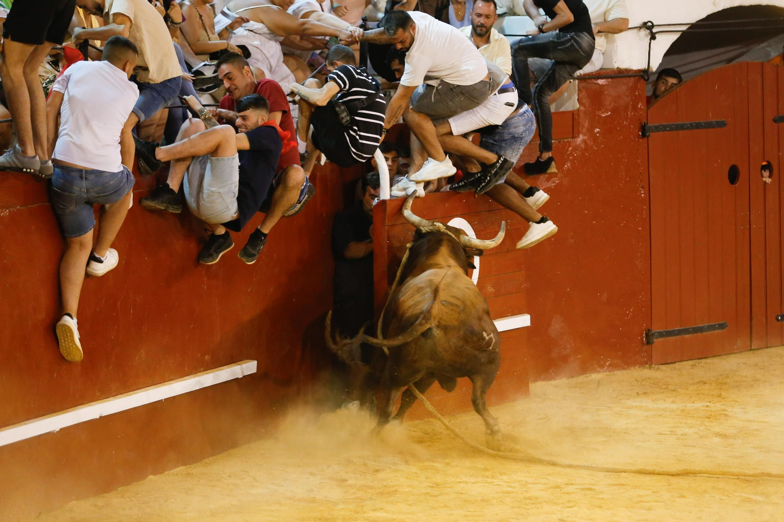 Fotos del Toro del Aguardiente en San Roque