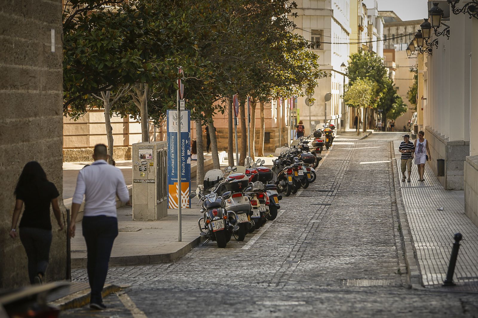 El tramo de las plazas Fragela y Falla que discurre ante la Facultad de Medicina será peatonalizado.