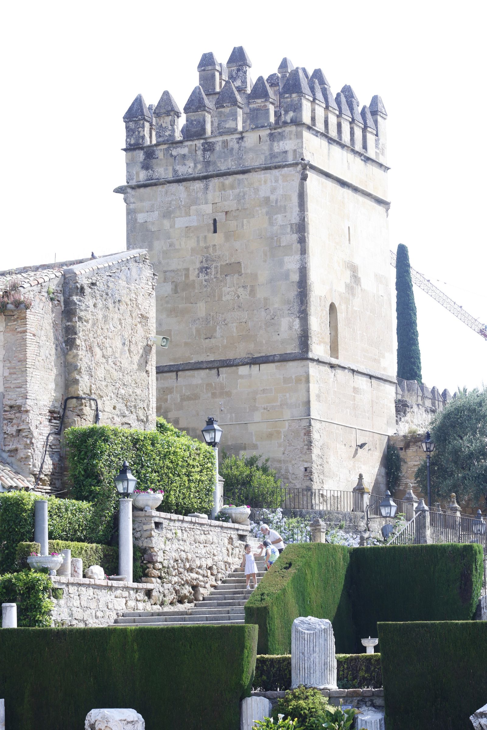 Las fotografías de la reapertura al público del Alcázar