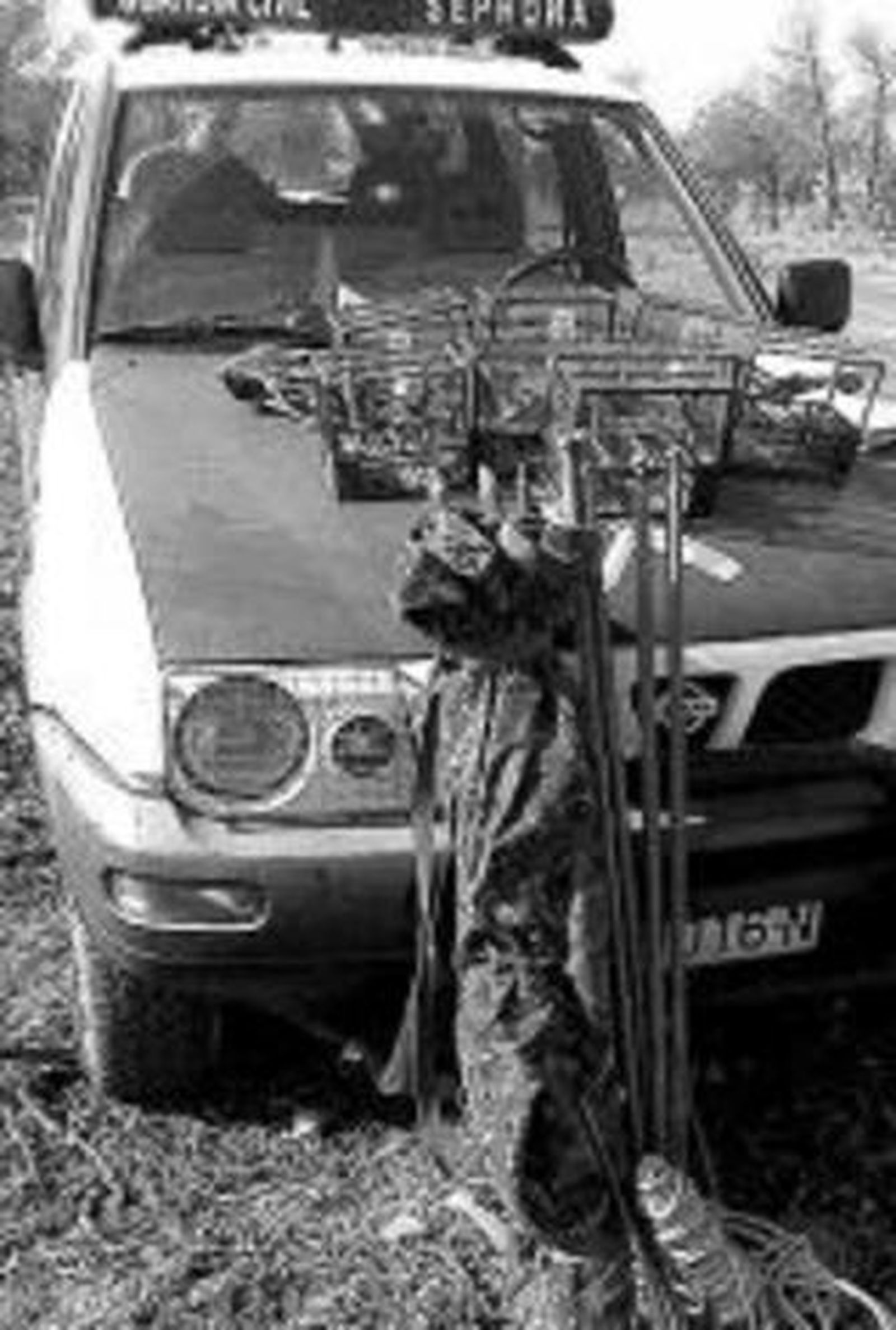 Artes y aves intervenidas.