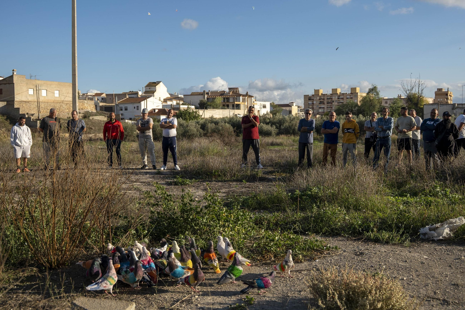 Las mejores imágenes de la suelta de palomos en la Feria de Albox