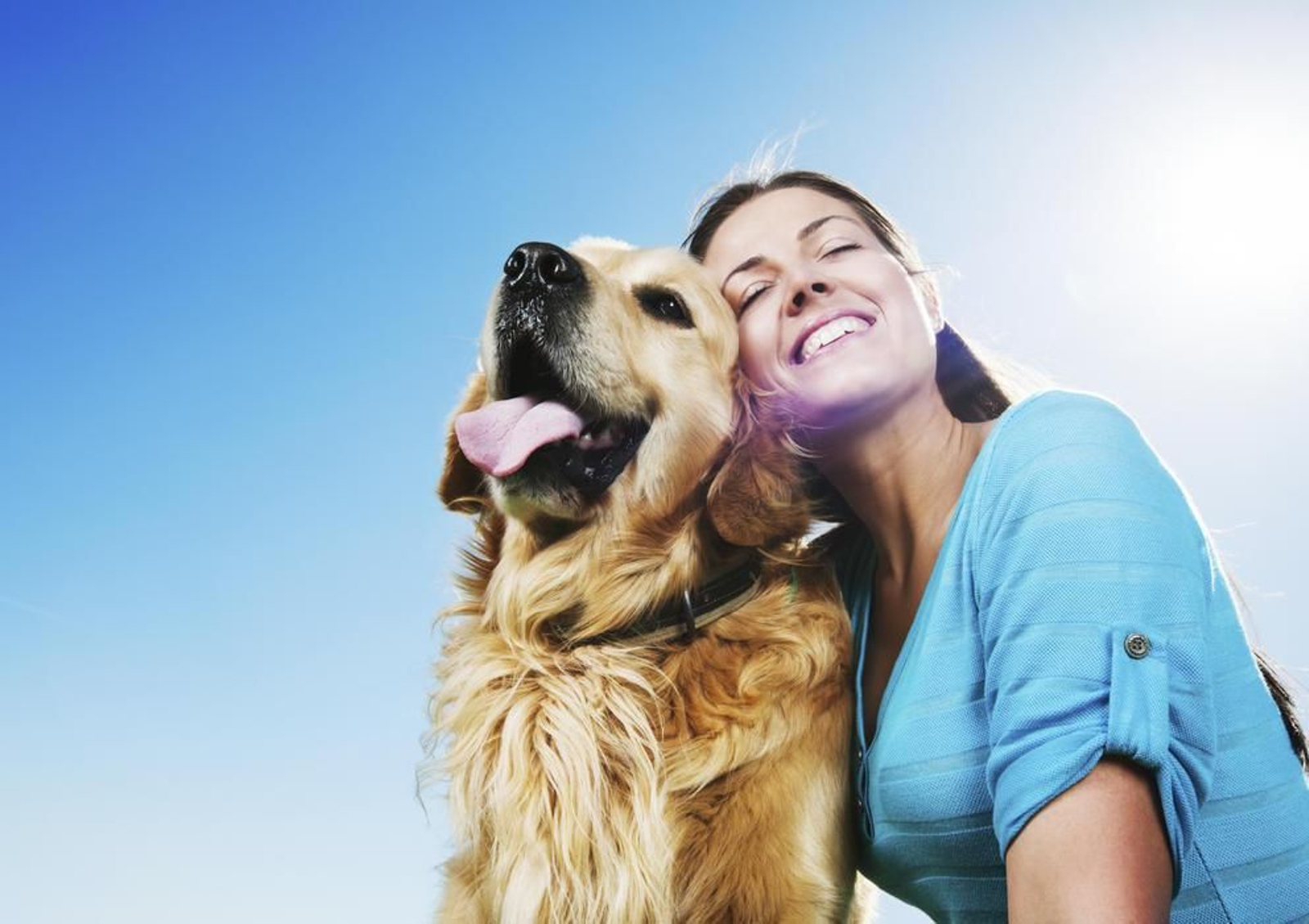 Ya es una realidad: En España hay más hogares con mascotas que con niños