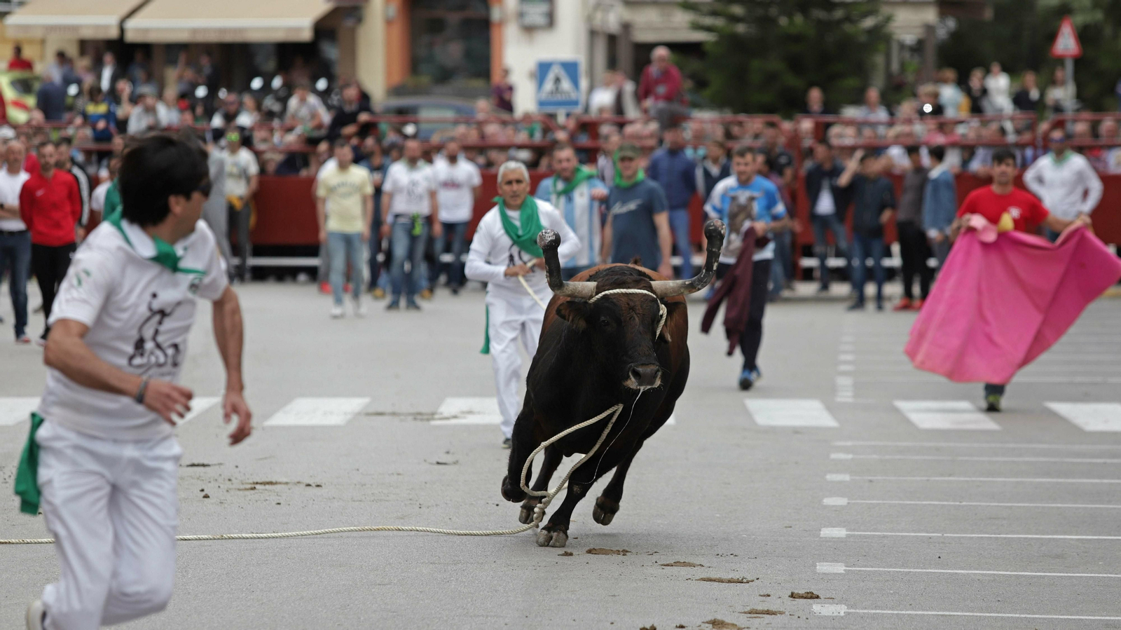 Imágenes del Toro Embolao de Los Barrios