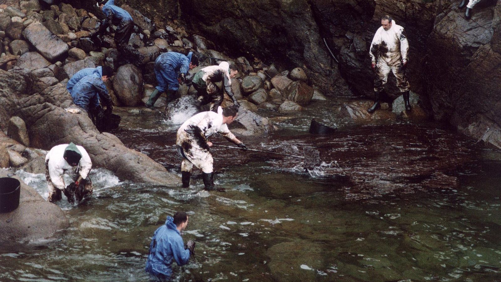 Voluntarios sevillanos sacando chapapote del mar.
