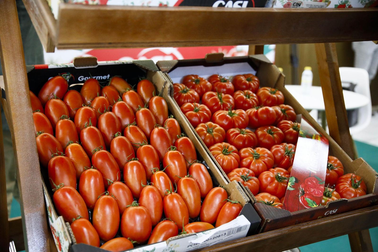 Imágenes de la inauguración de Vestial 20205 en el Palacio del Toyo