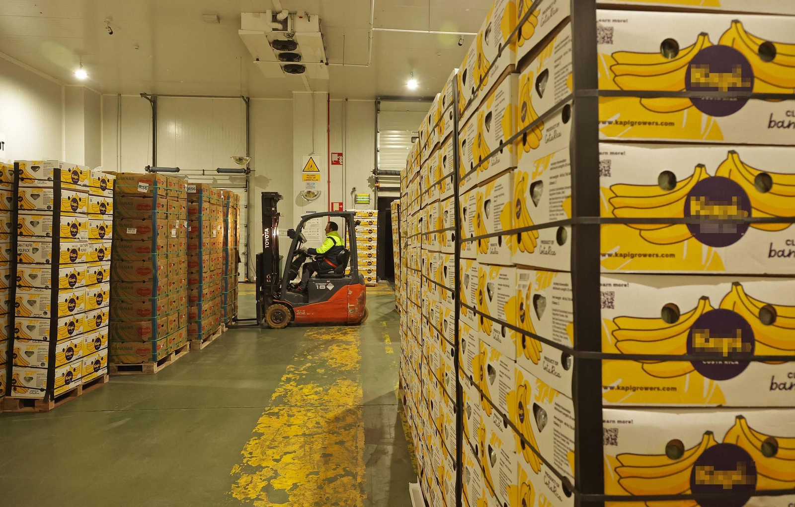 Fotos de la visita a la empresa Americold en el Puerto de Algeciras